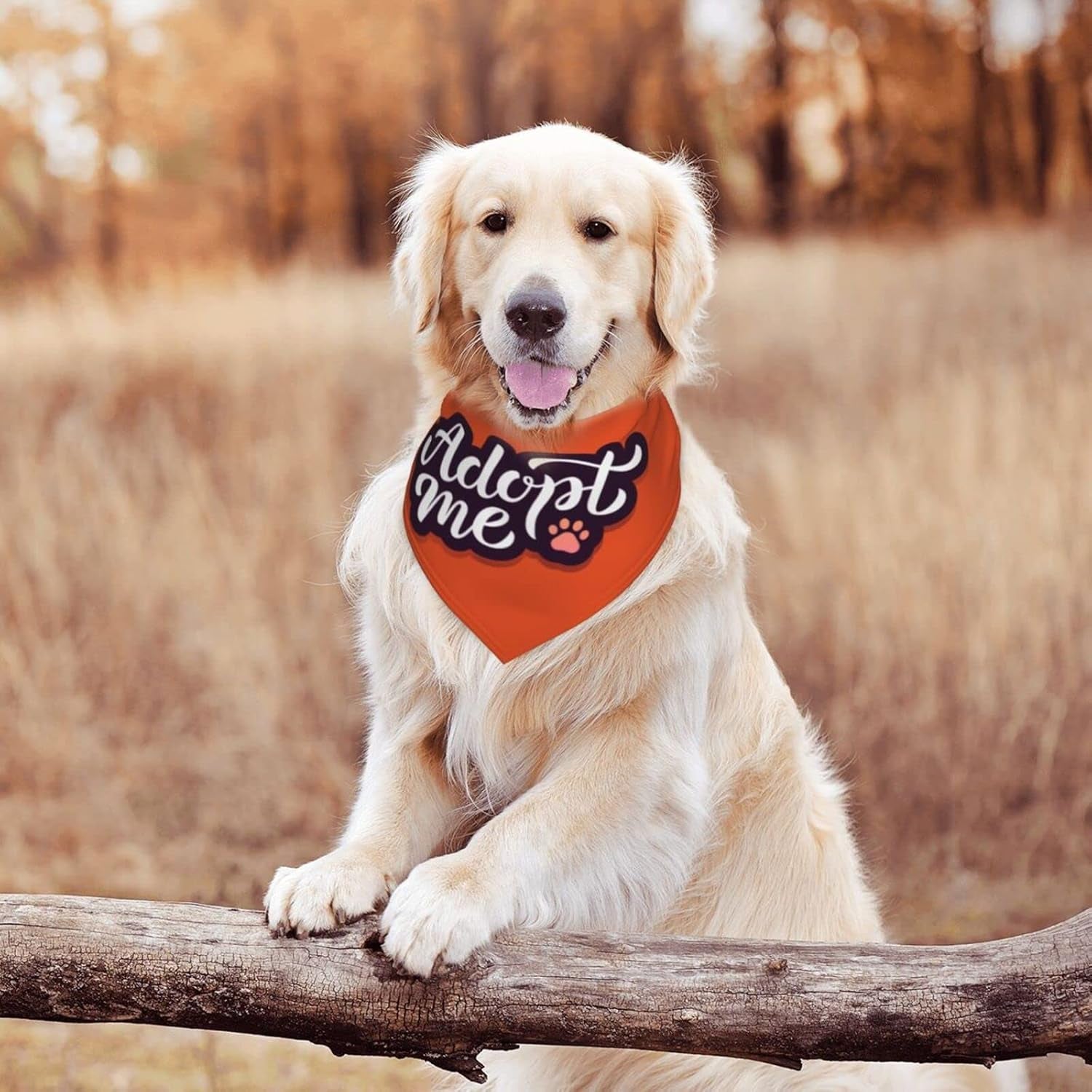 Adopt Me Dog Bandana Scarf Triangle Bibs Pet Accessories Cat Kerchief